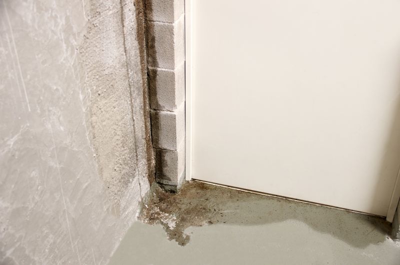 Foundation Leak Repair in Fort Myers, FL
